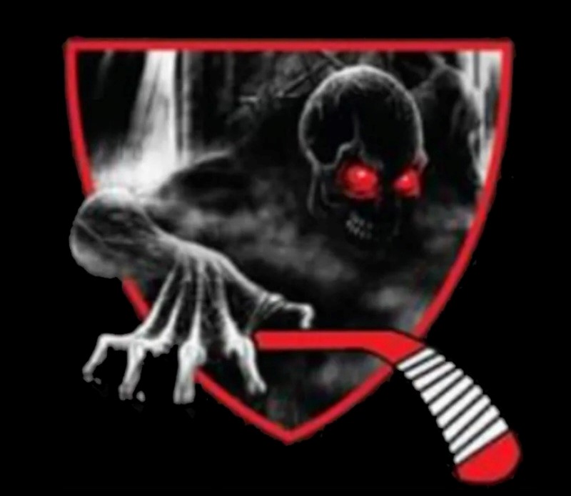 Team Logo Image