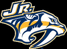 Team Logo Image