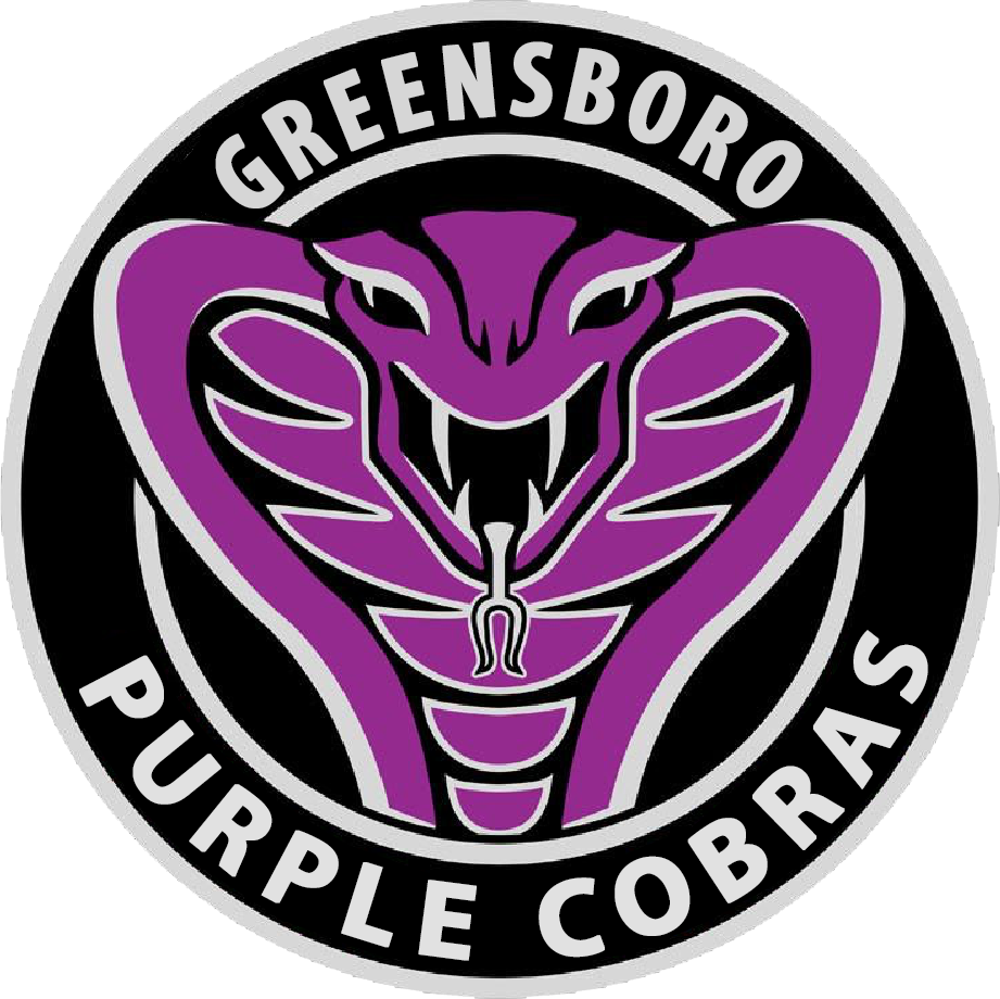 Team Logo Image