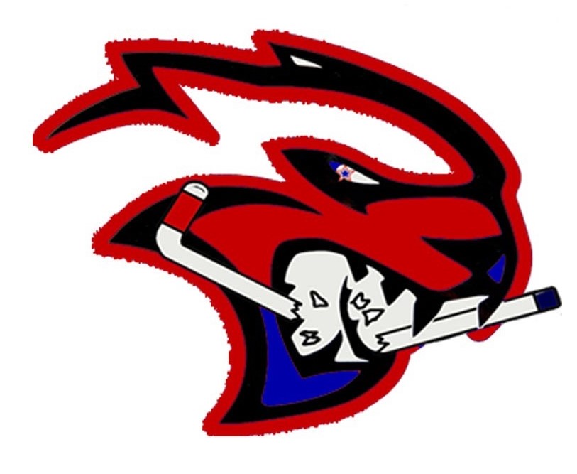 Team Logo Image