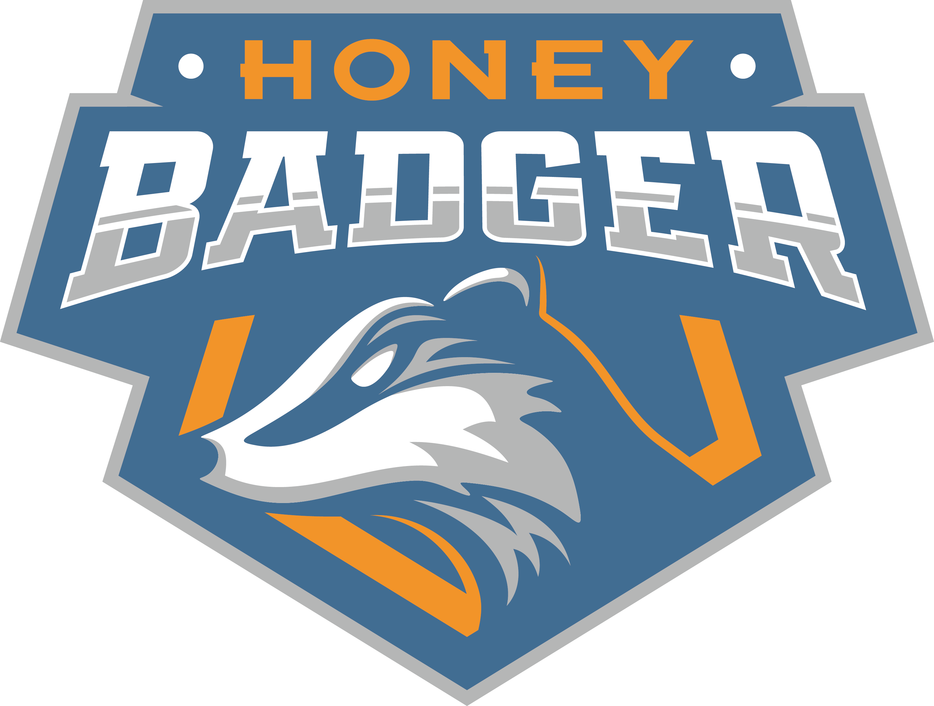 Team Logo Image