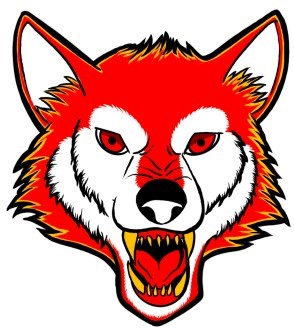 Team Logo Image