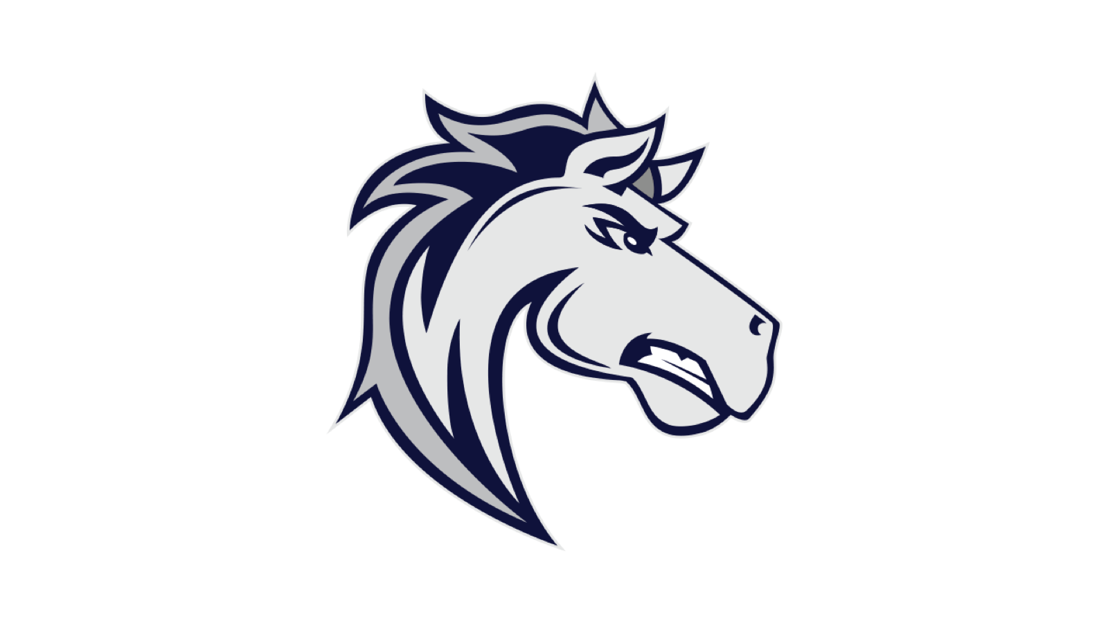 Team Logo Image