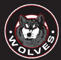 Team Logo Image