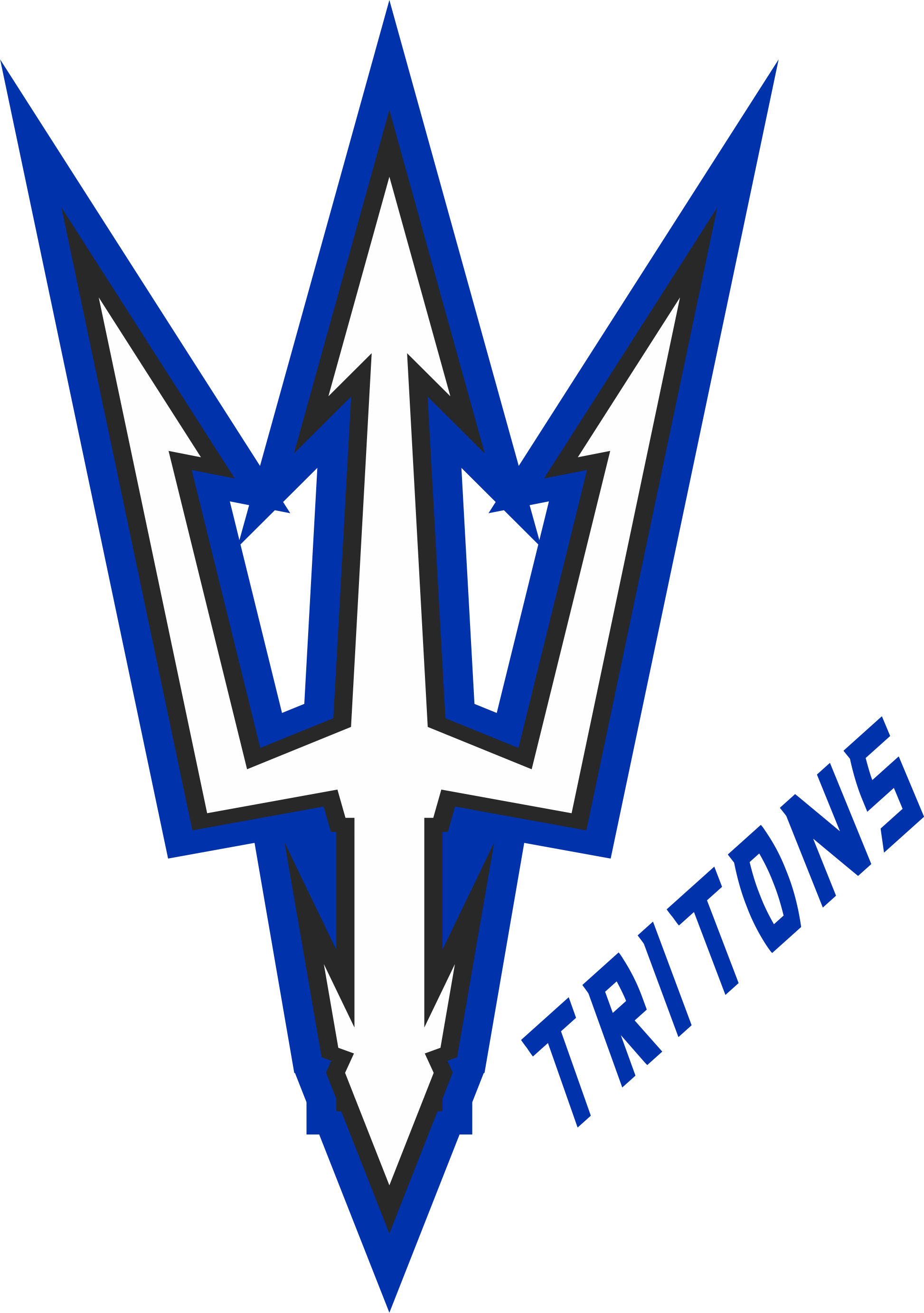 Team Logo Image