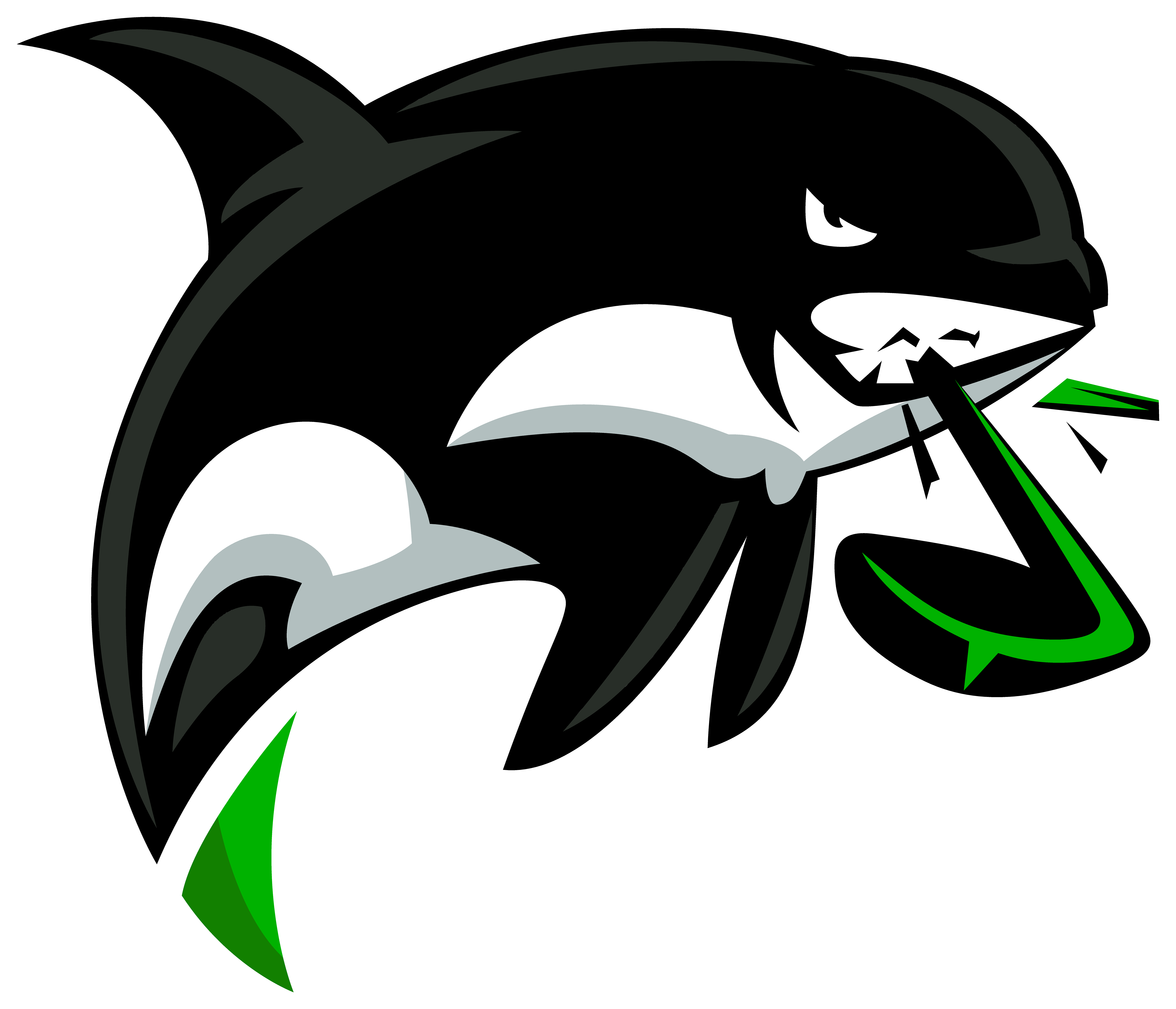 Team Logo Image