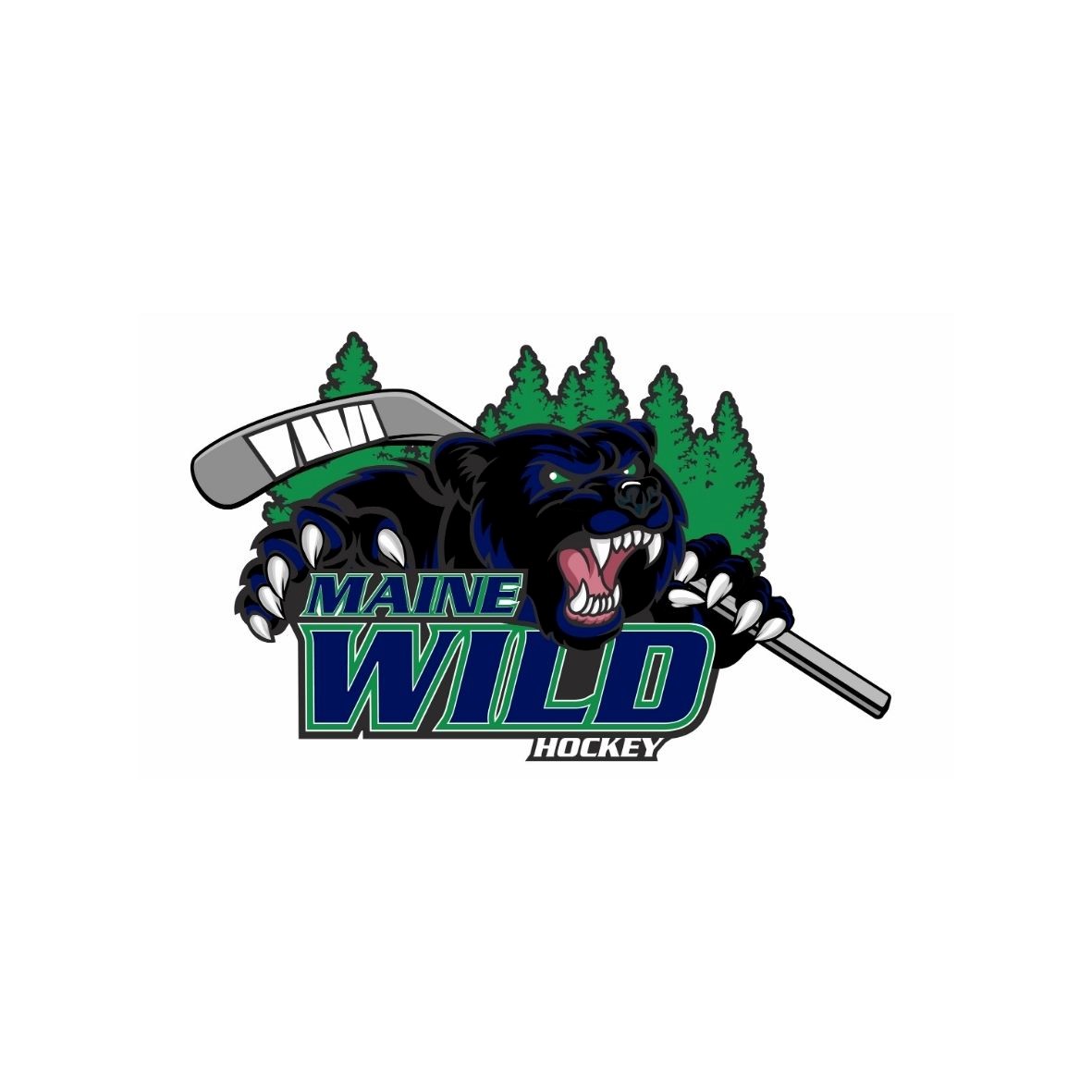 Team Logo Image