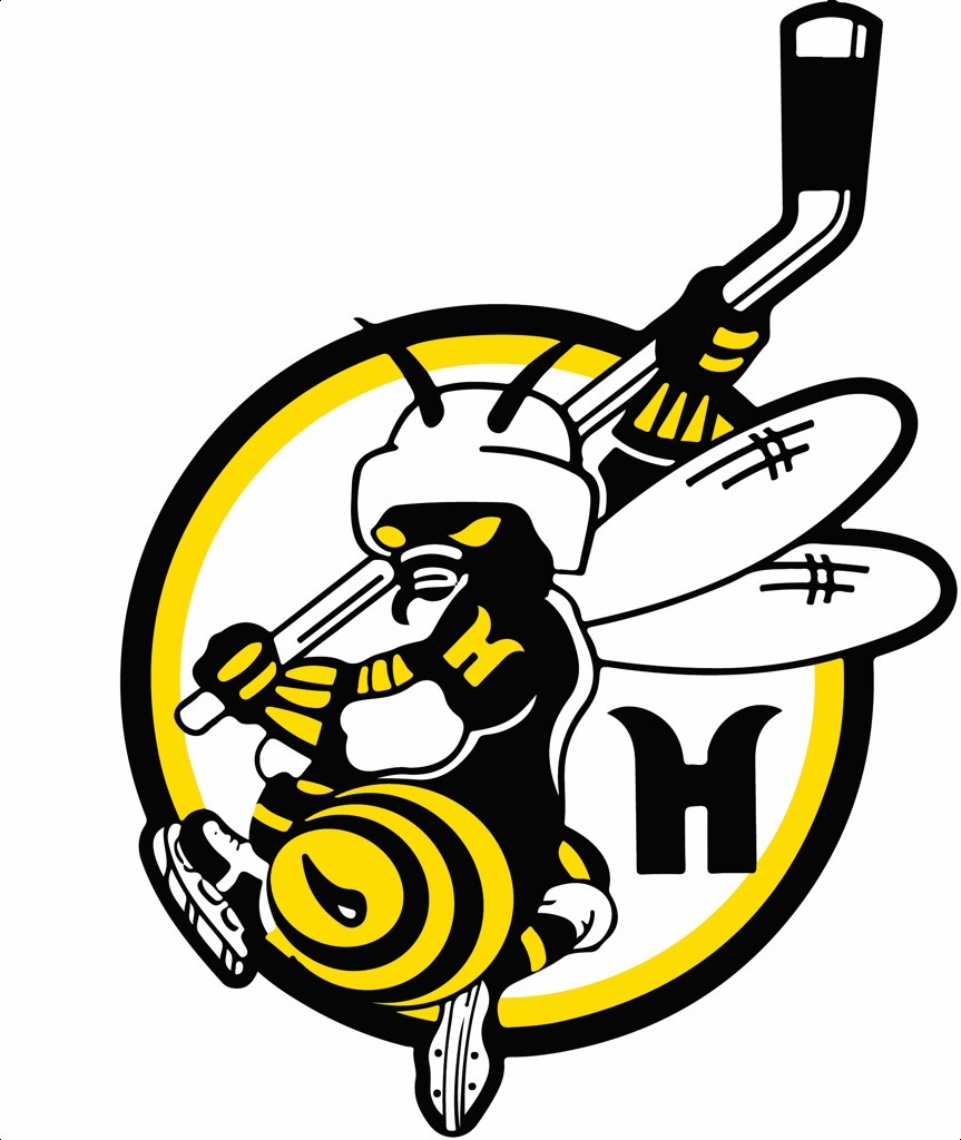 Team Logo Image