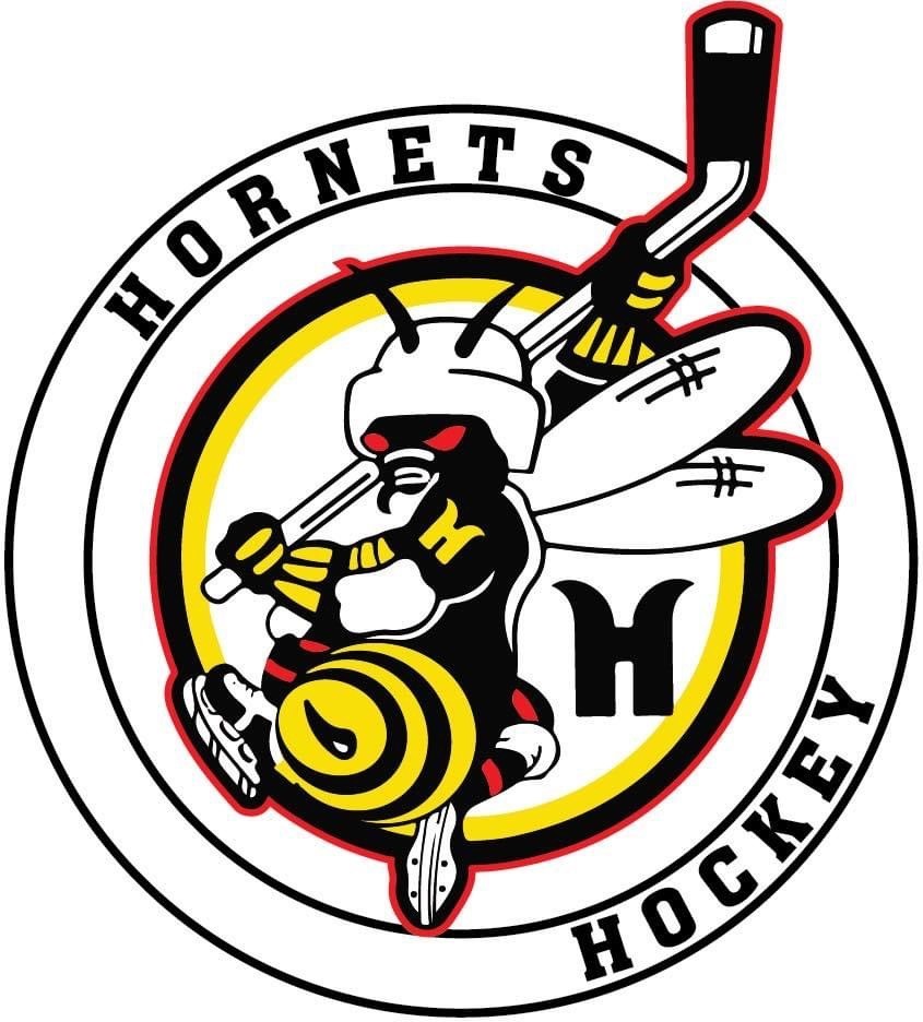 Team Logo Image