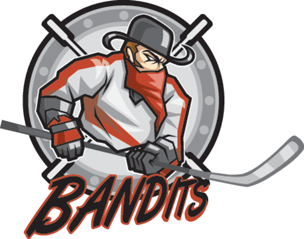 Team Logo Image