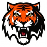 Team Logo Image