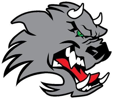 Team Logo Image