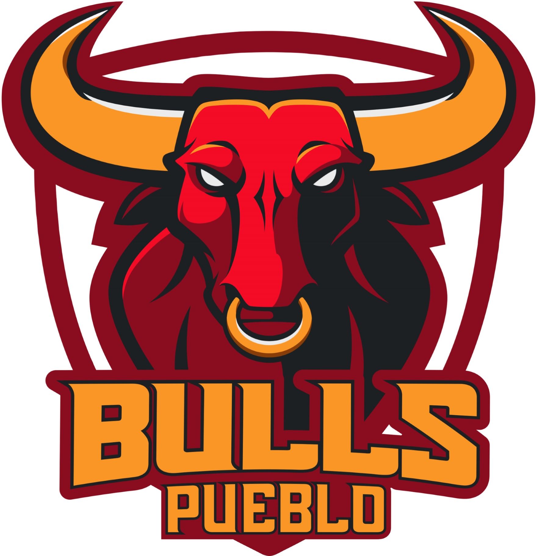 Team Logo Image