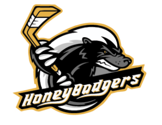 Team Logo Image