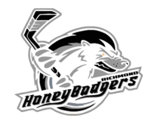 Team Logo Image