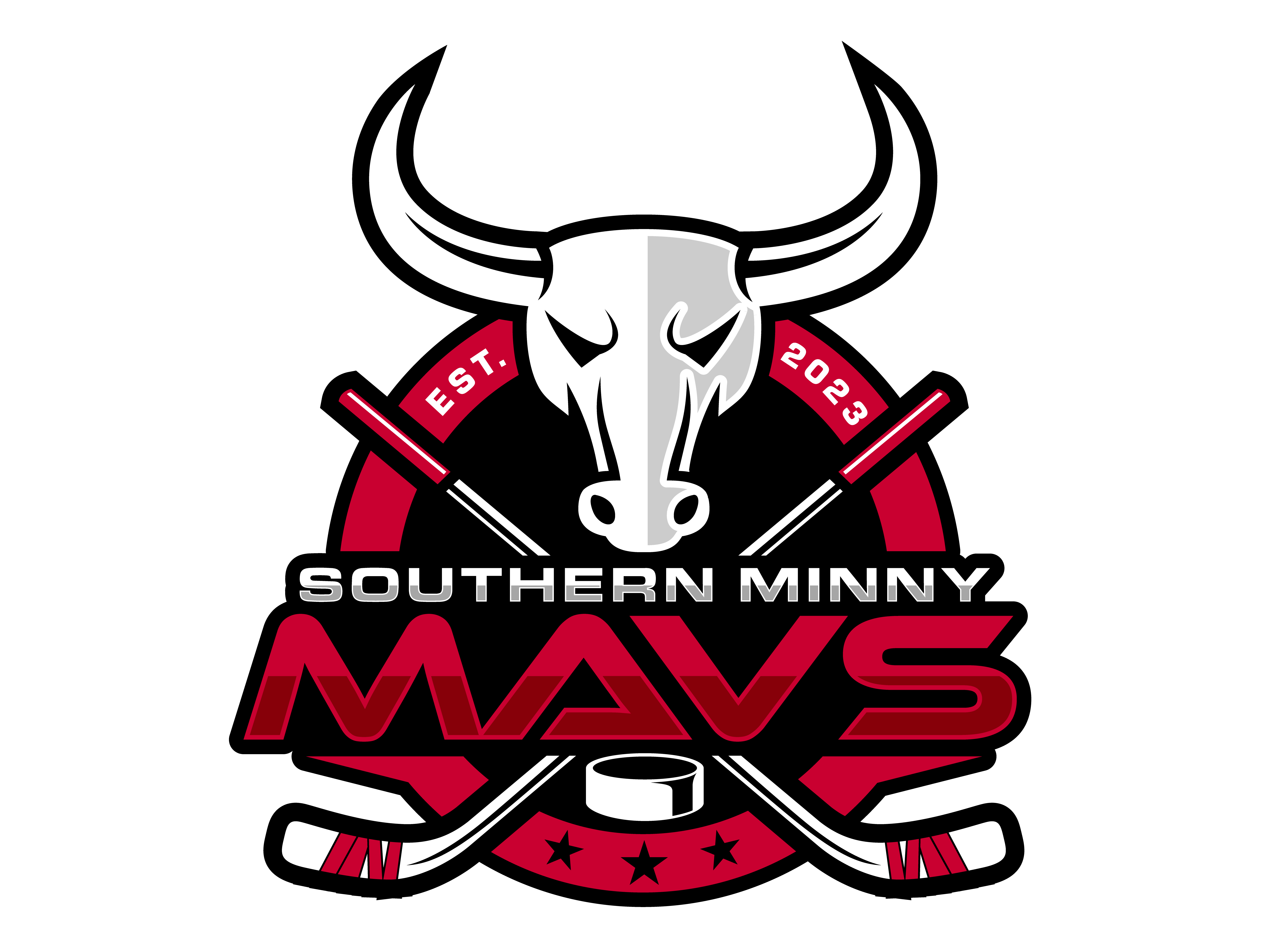 Team Logo Image