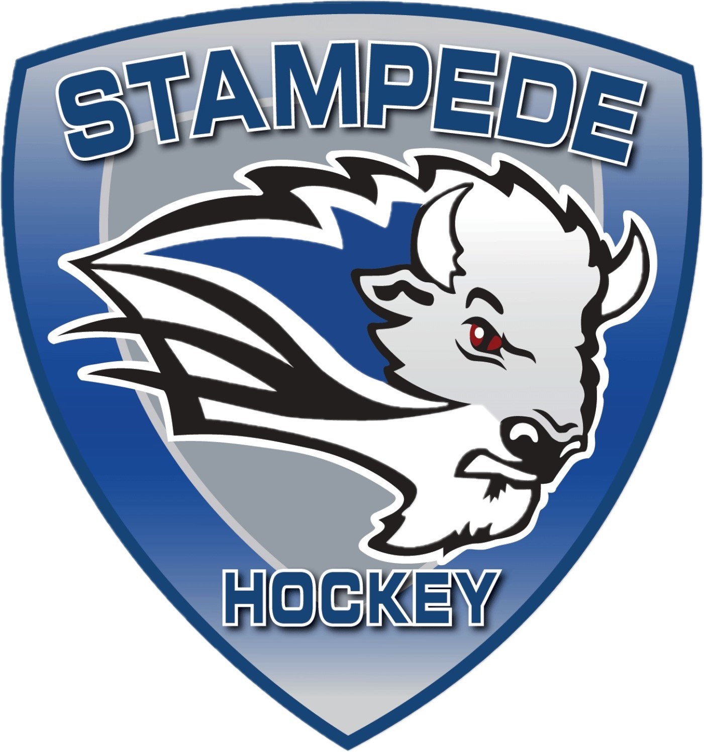 Team Logo Image