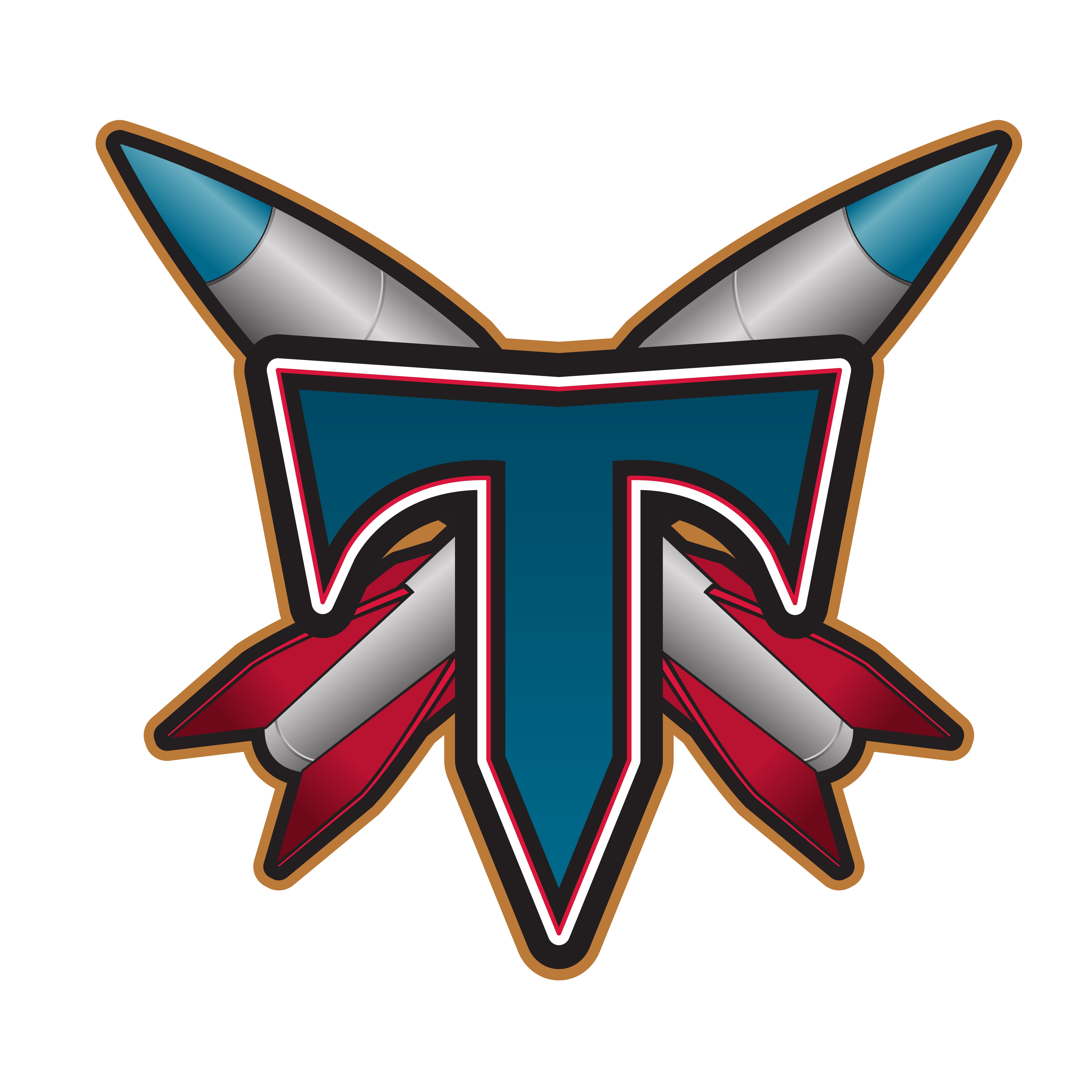 Team Logo Image