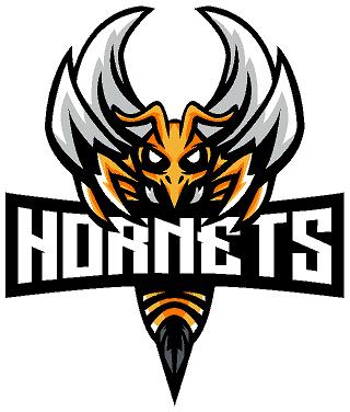 Team Logo Image