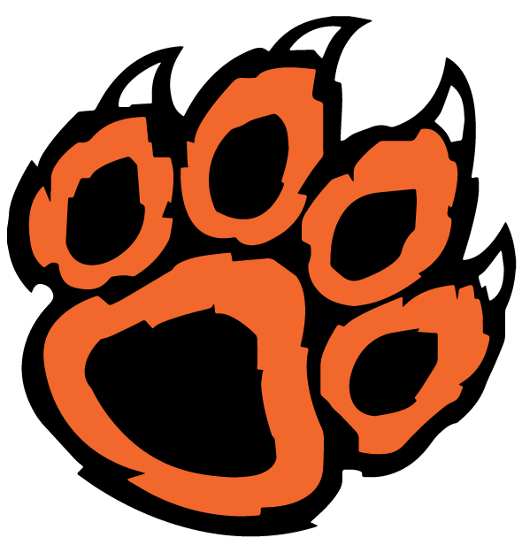 Team Logo Image