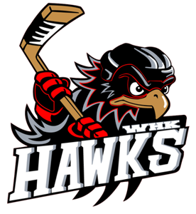 Team Logo Image