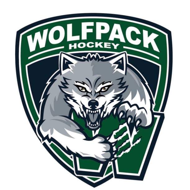 Team Logo Image