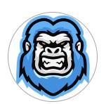 Team Logo Image