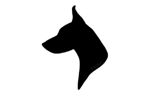 black-dog-4458006033.jpg