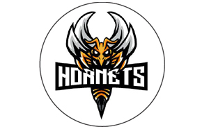 troy-hornets-0216253016.jpg